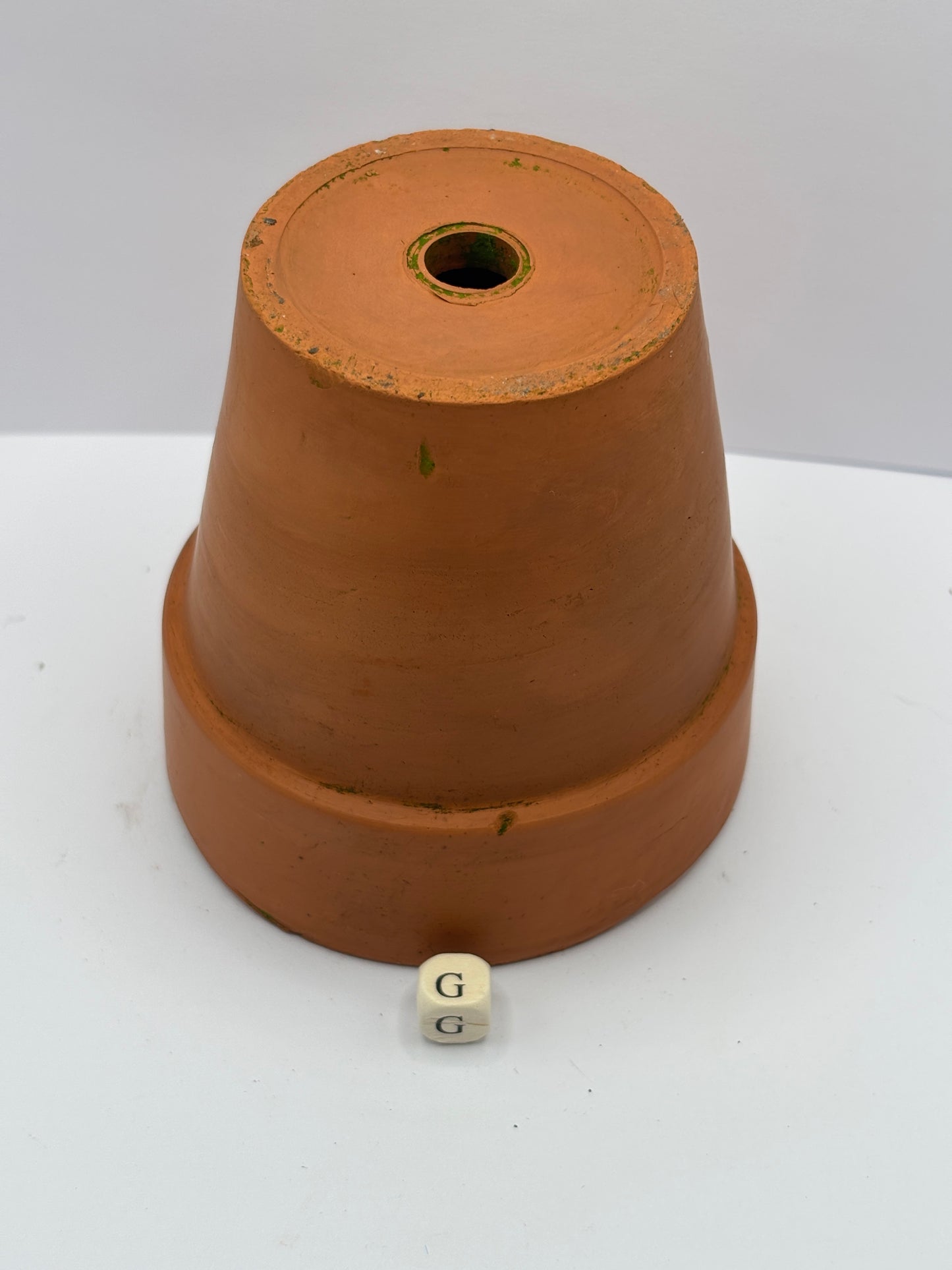 Old terracotta plant pot (g)