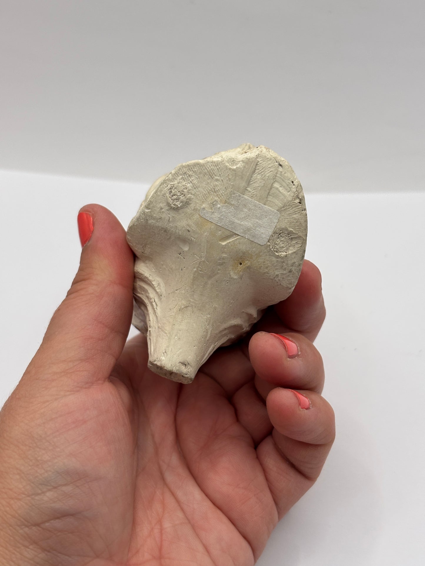 Old XL figural clay pipe head, pipe bowl