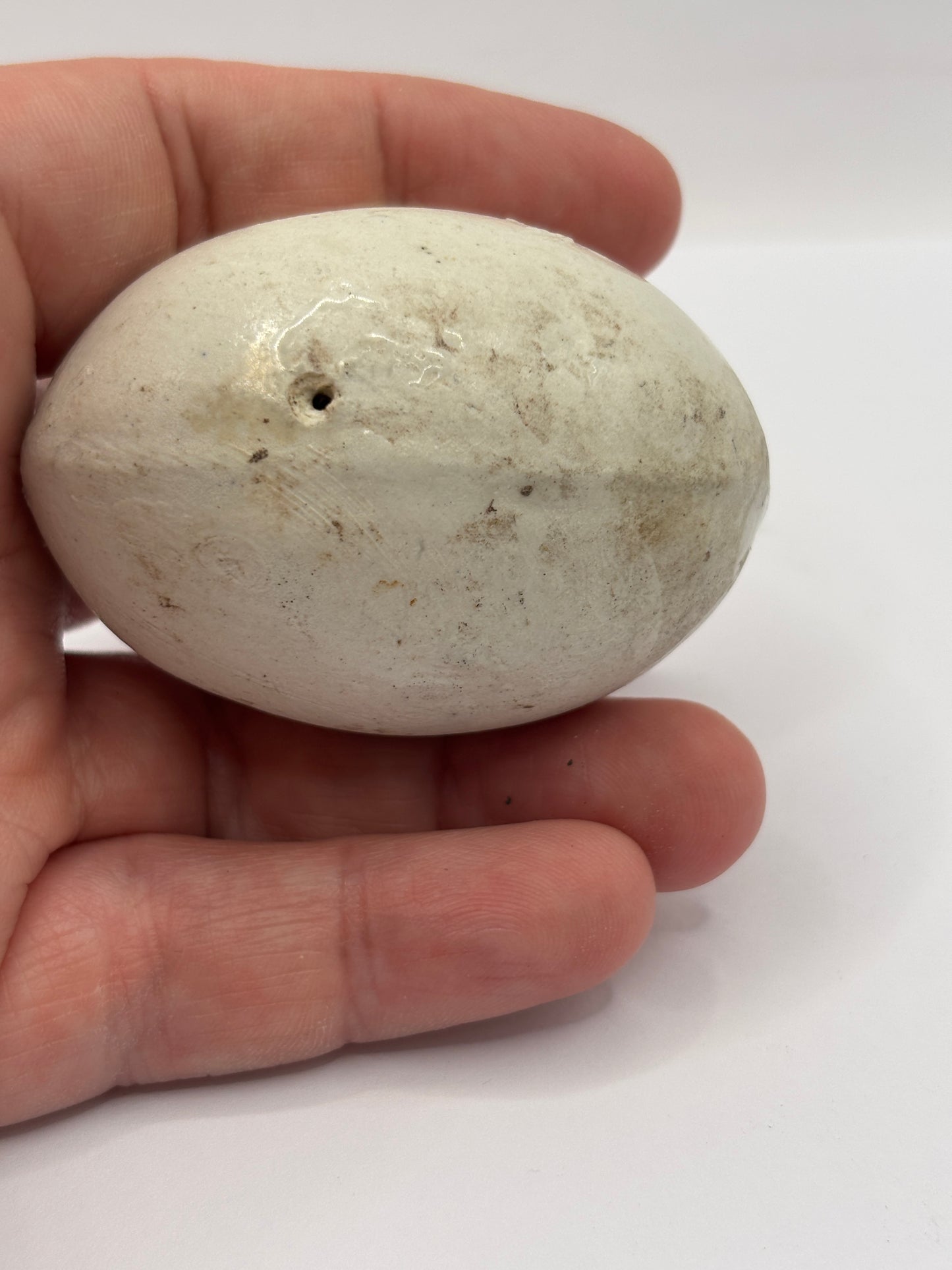 Old dummy egg, pot egg, broody egg
