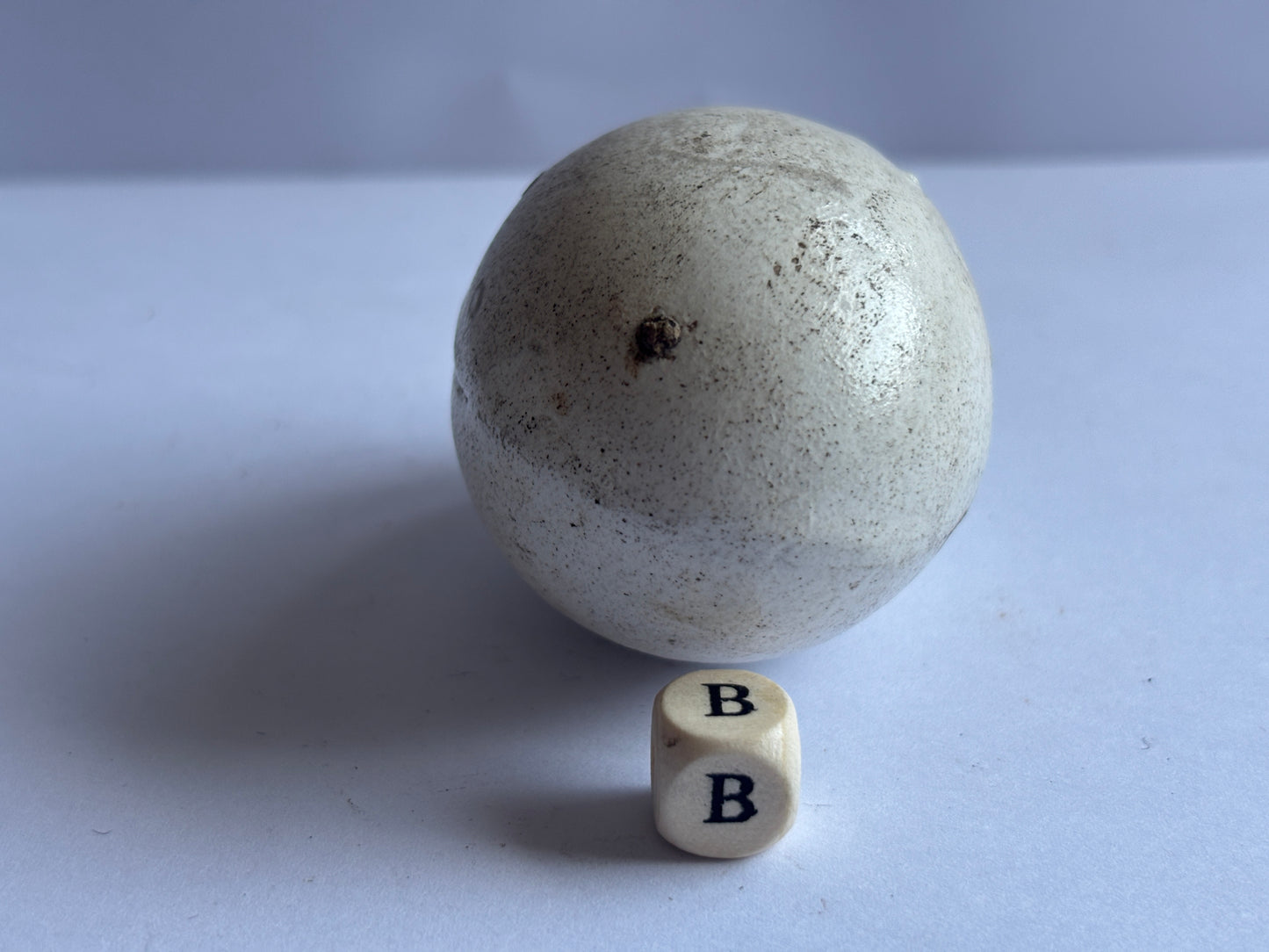 Old pot egg, dummy egg, broody egg (B)