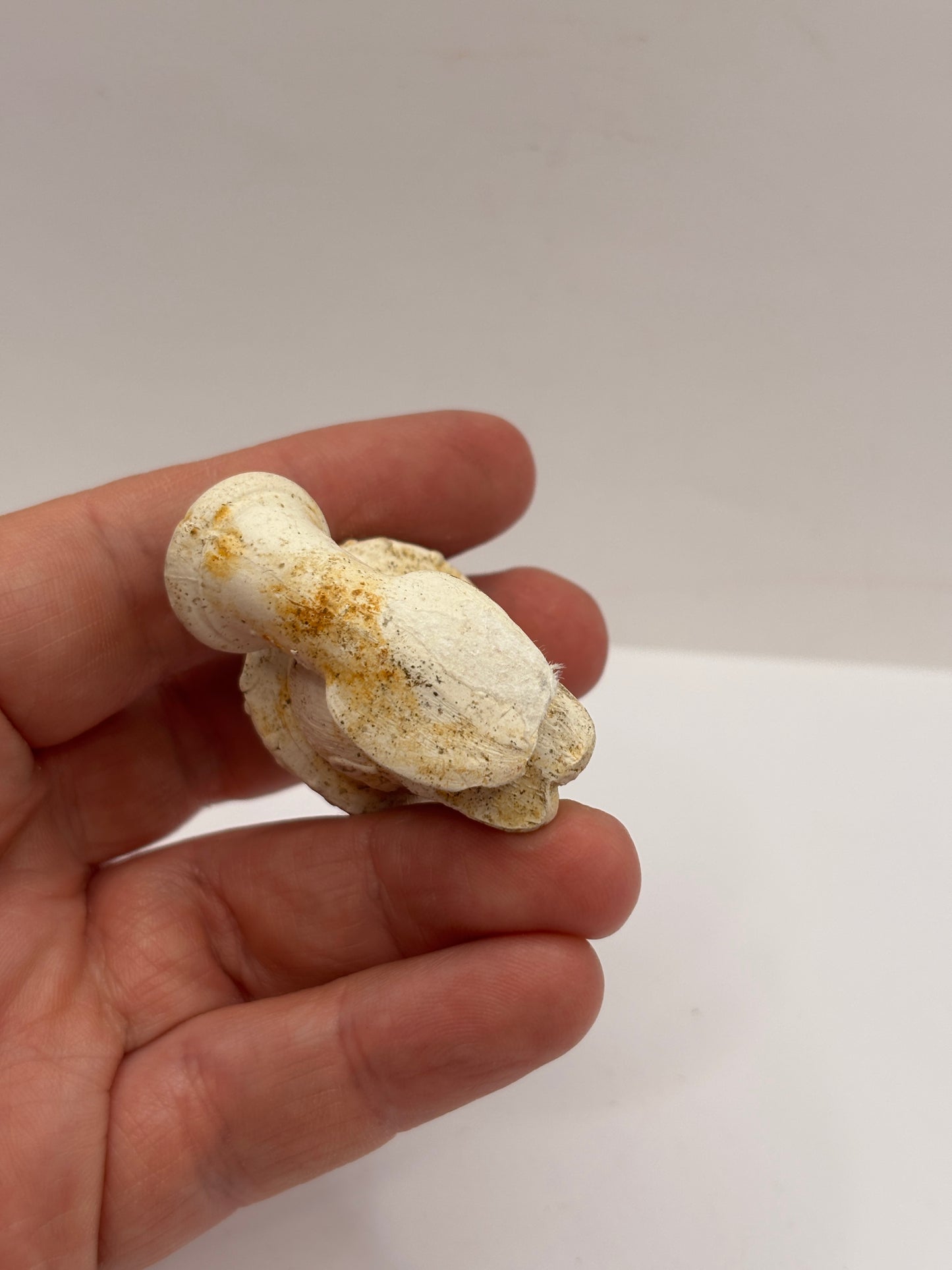 Old figural clay pipe head, pipe bowl