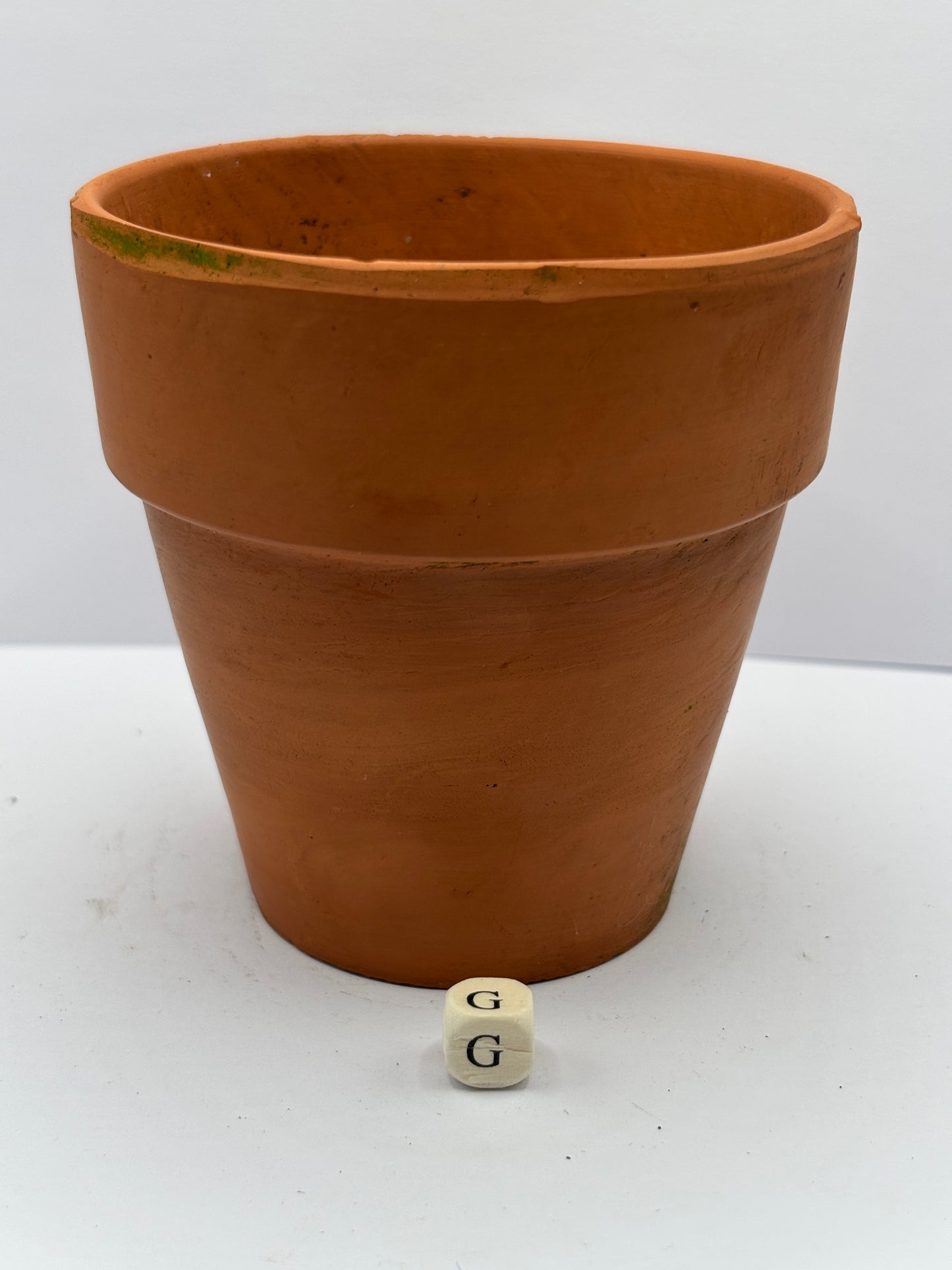 Old terracotta plant pot (g)