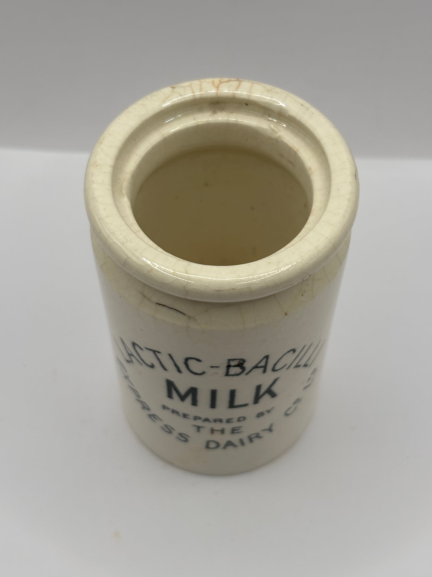 Old RARE Lactic-Bacilli milk jar, express dairy Co.