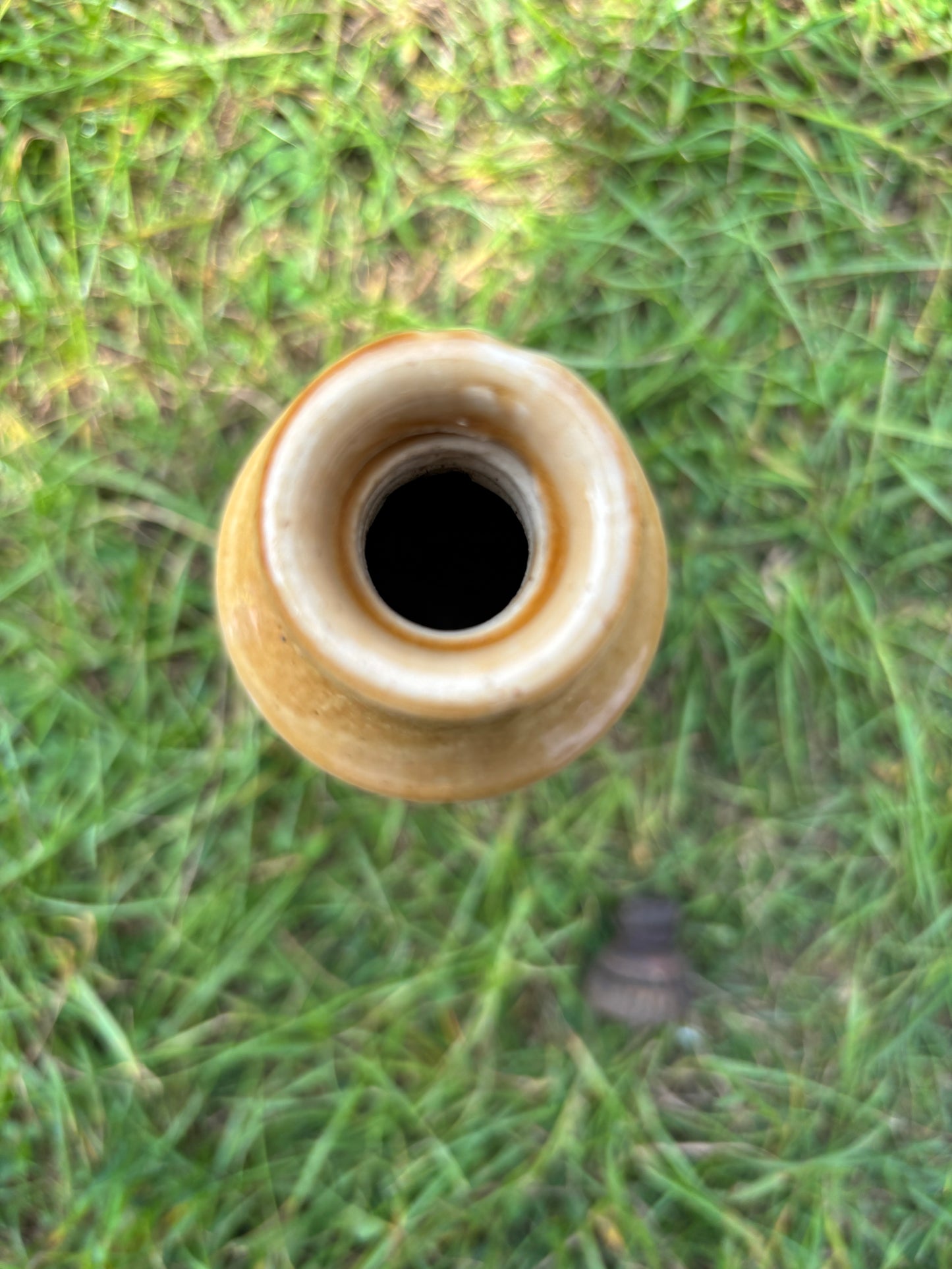 The Carlisle new brewery Co stout bottle