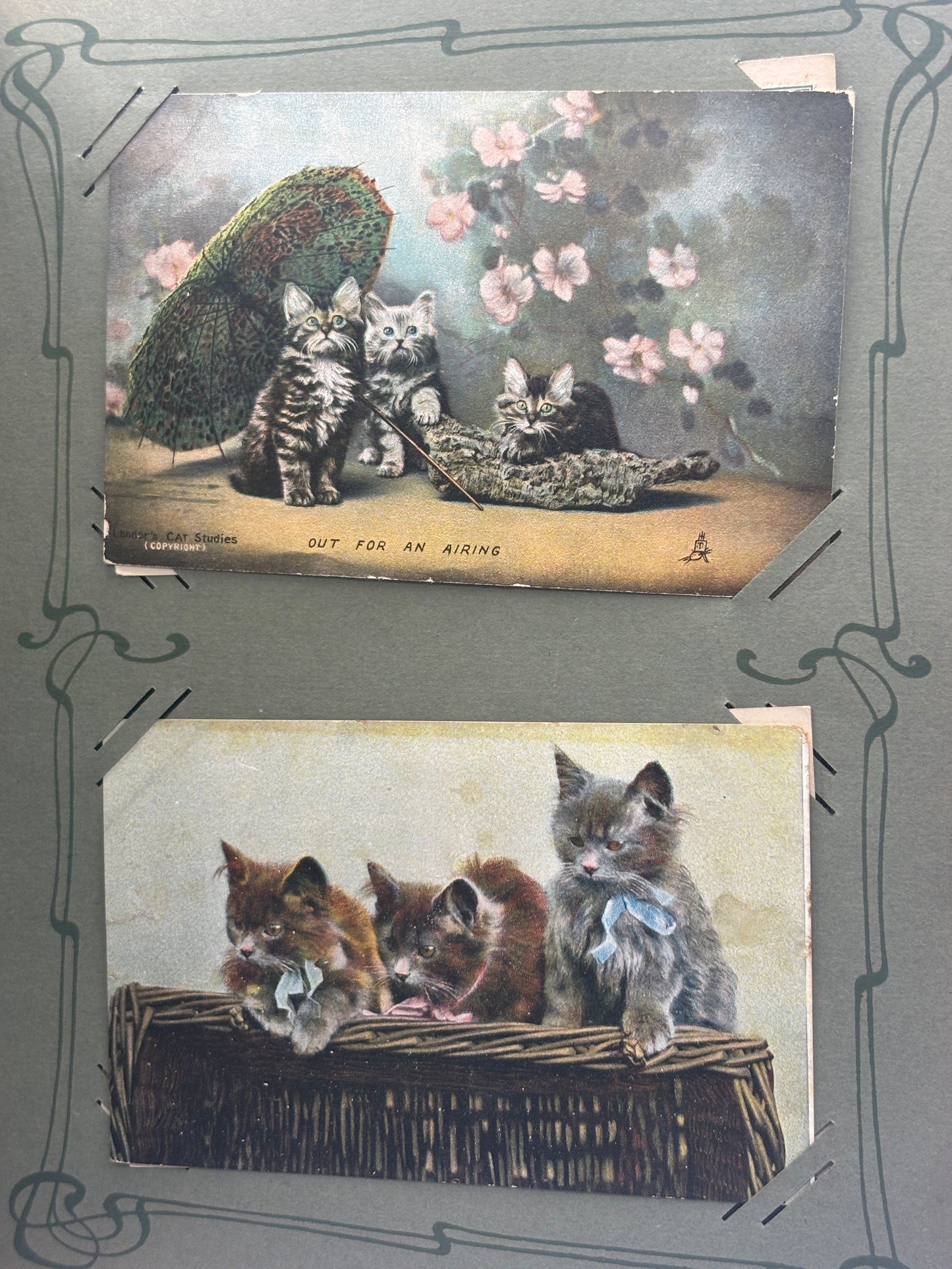 Old postcard album, dogs & cats. 158 postcards