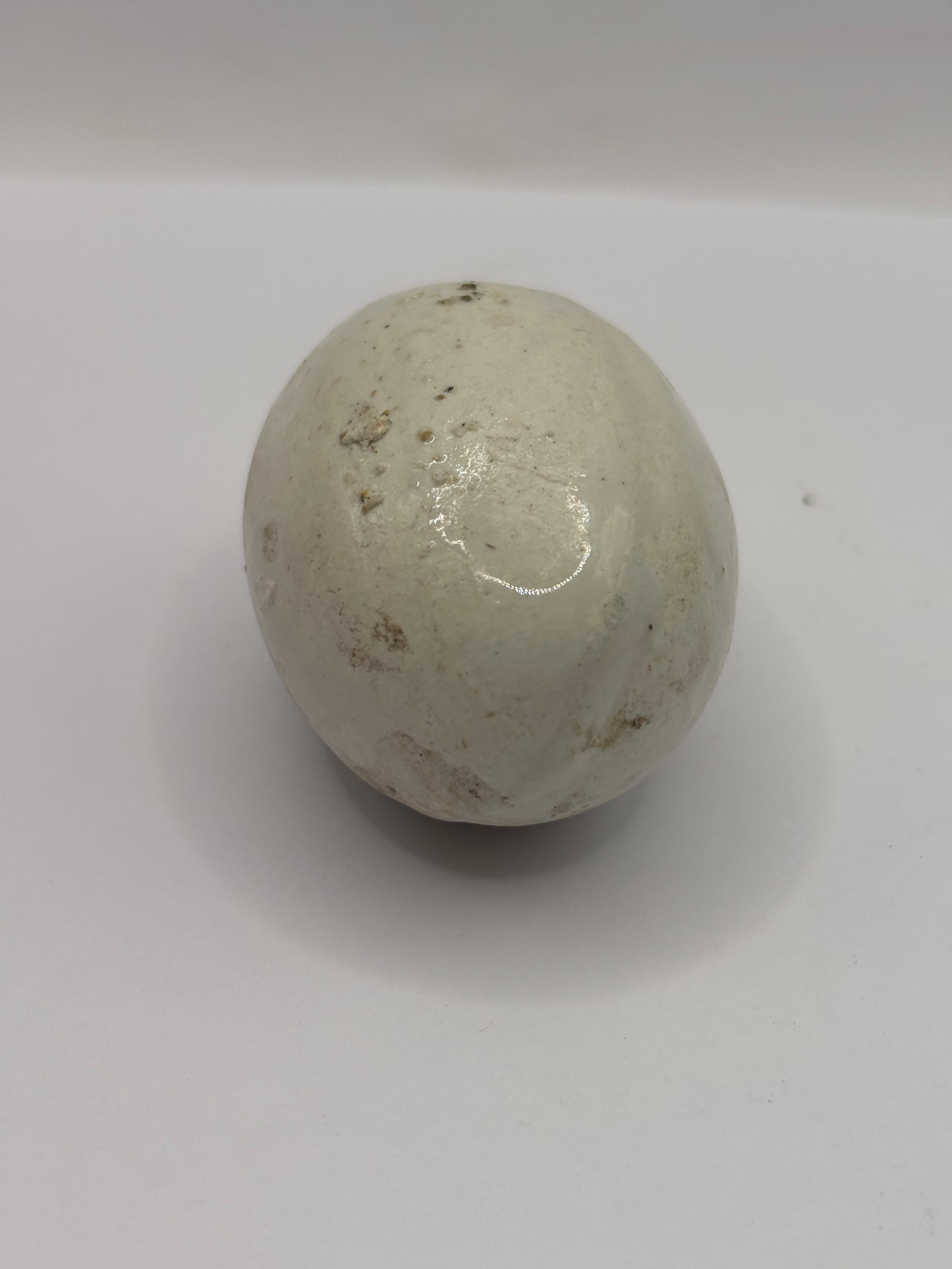 Old dummy egg, pot egg, broody egg