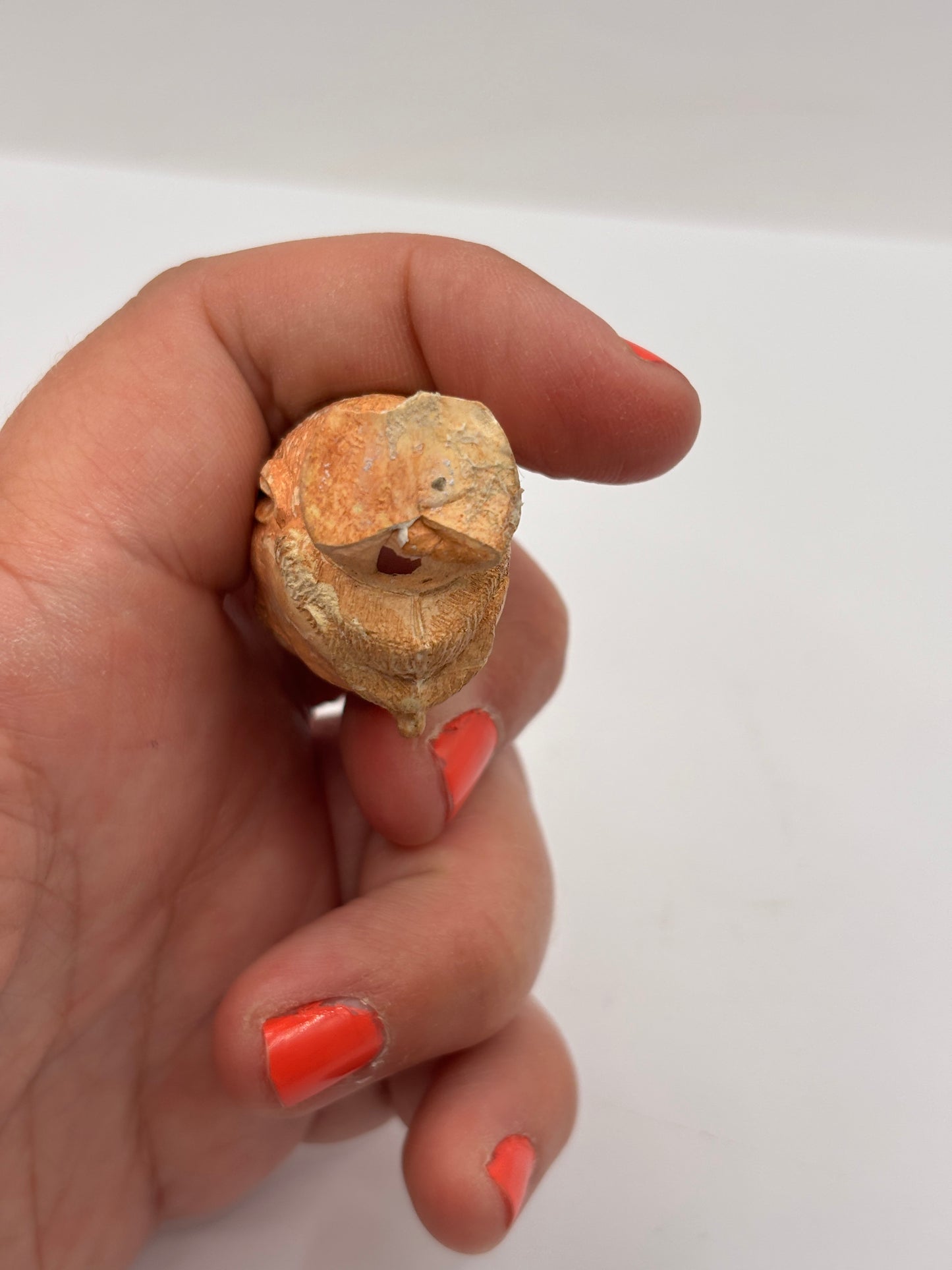 Old figural clay pipe head, pipe bowl