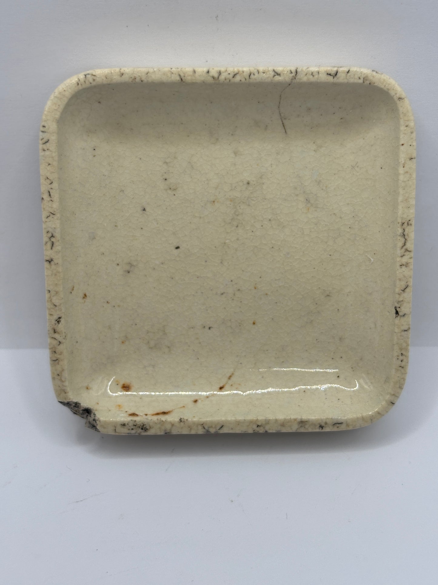 old advertising lid, White rose paste for the teeth and breath