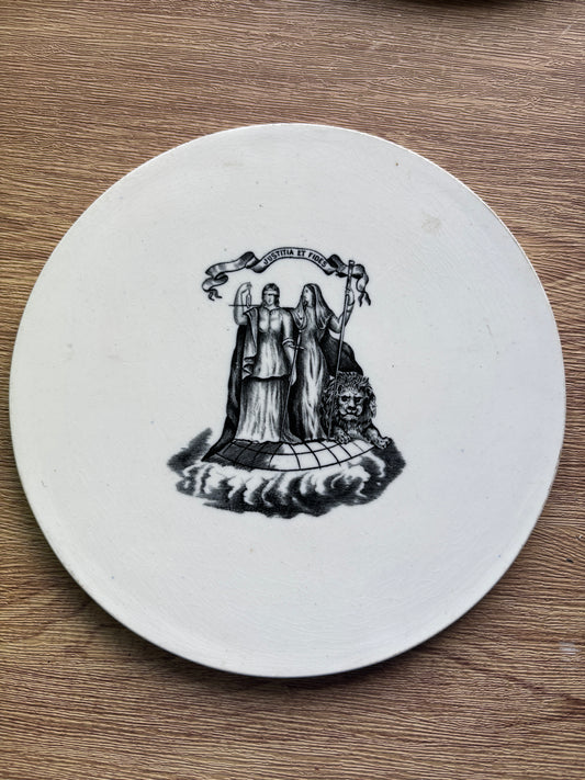Old ironstone advertising scale plate 23cms