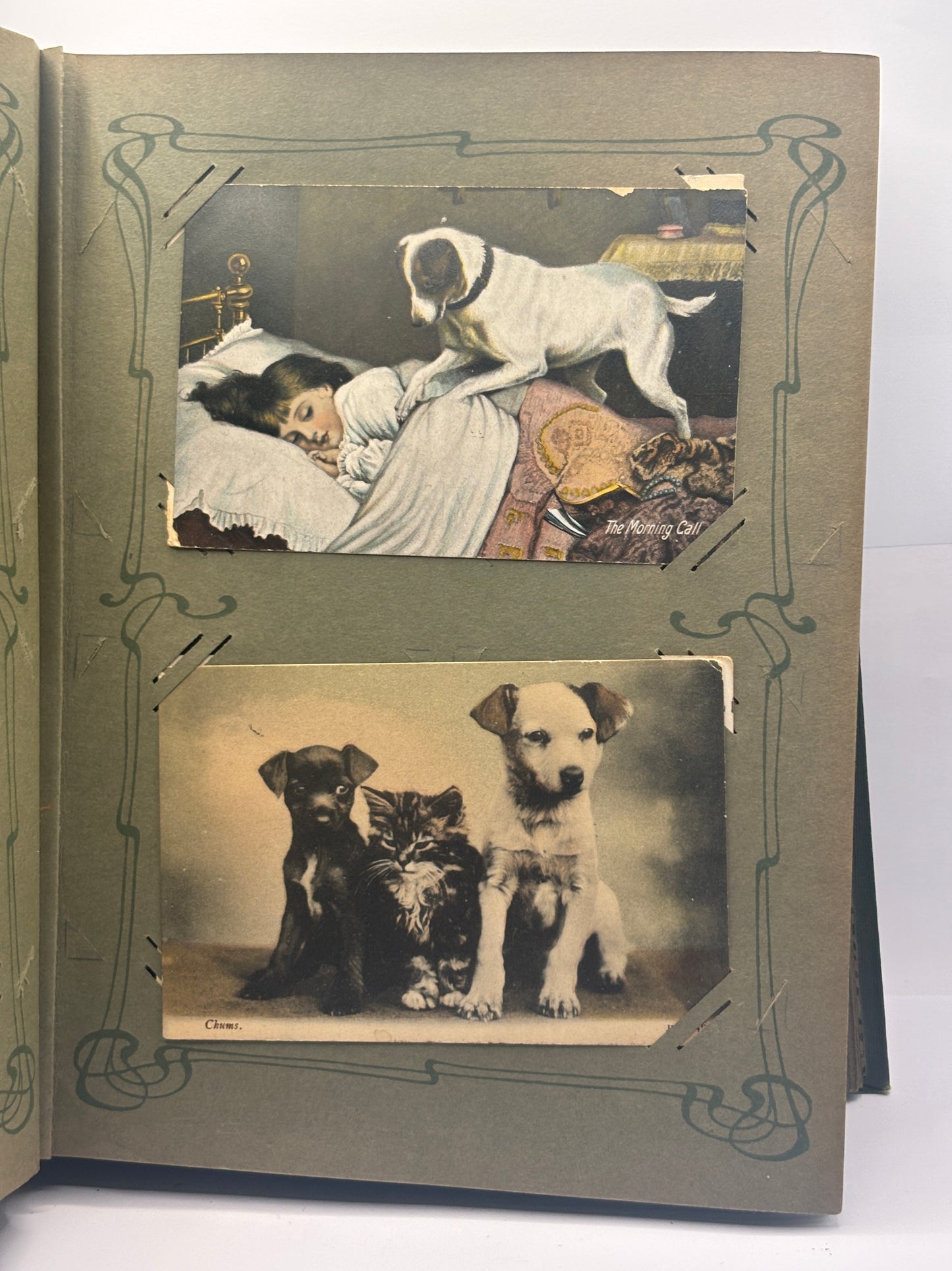 Old postcard album, dogs & cats. 158 postcards