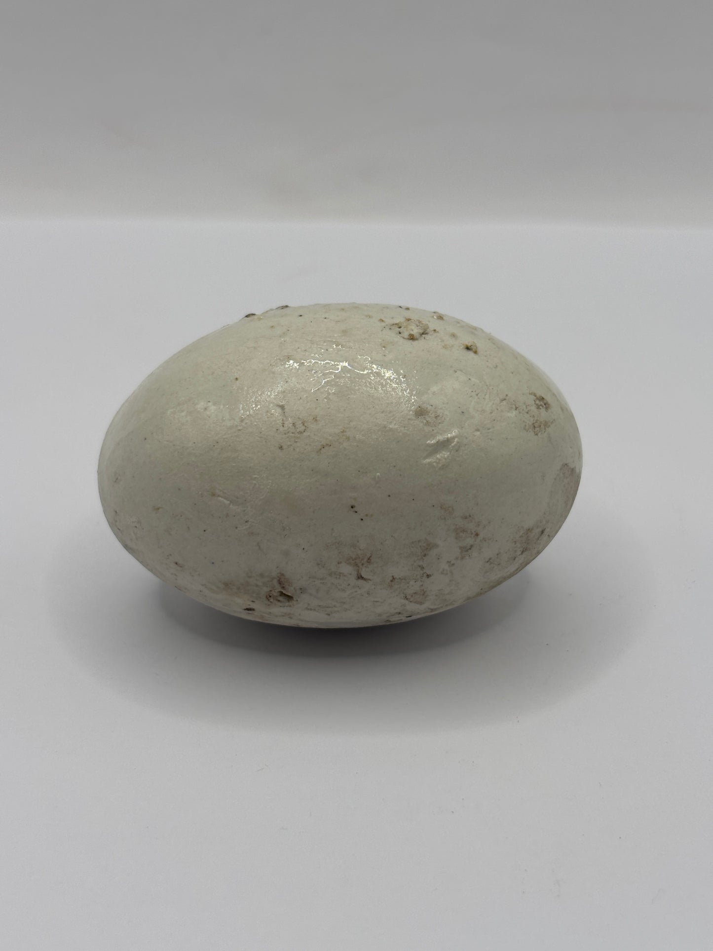 Old dummy egg, pot egg, broody egg