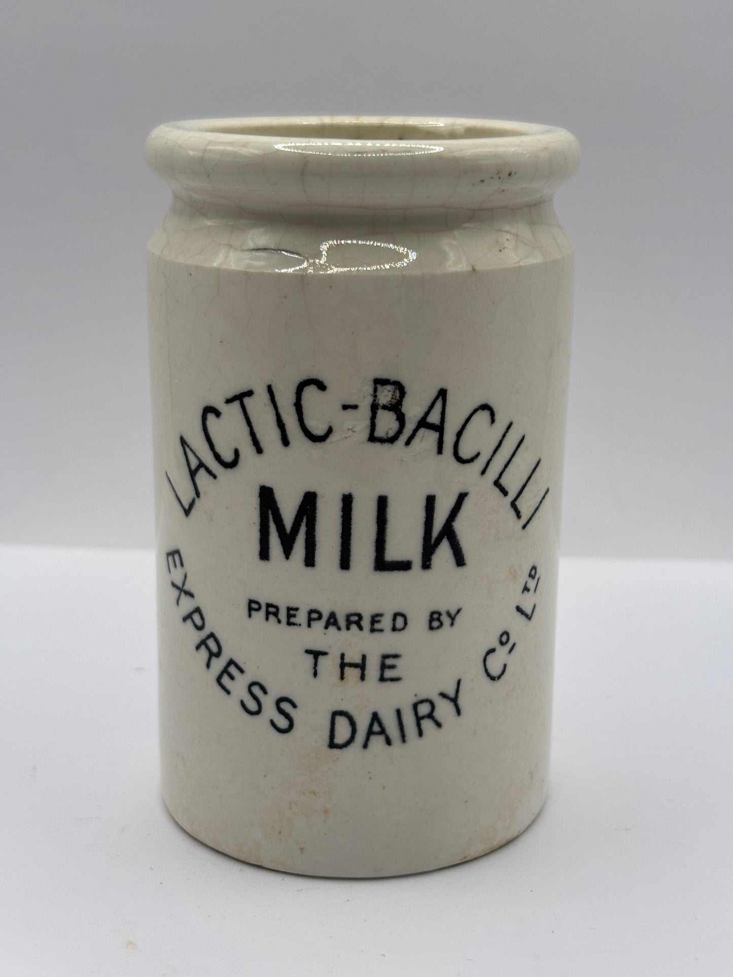 Old RARE Lactic-Bacilli milk jar, express dairy Co.