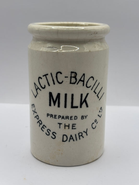 Old RARE Lactic-Bacilli milk jar, express dairy Co.