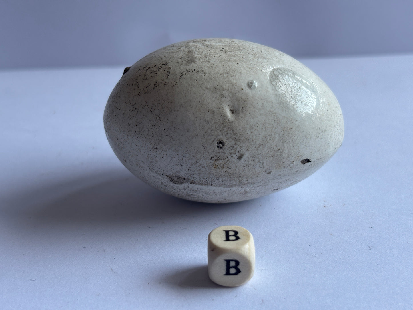 Old pot egg, dummy egg, broody egg (B)