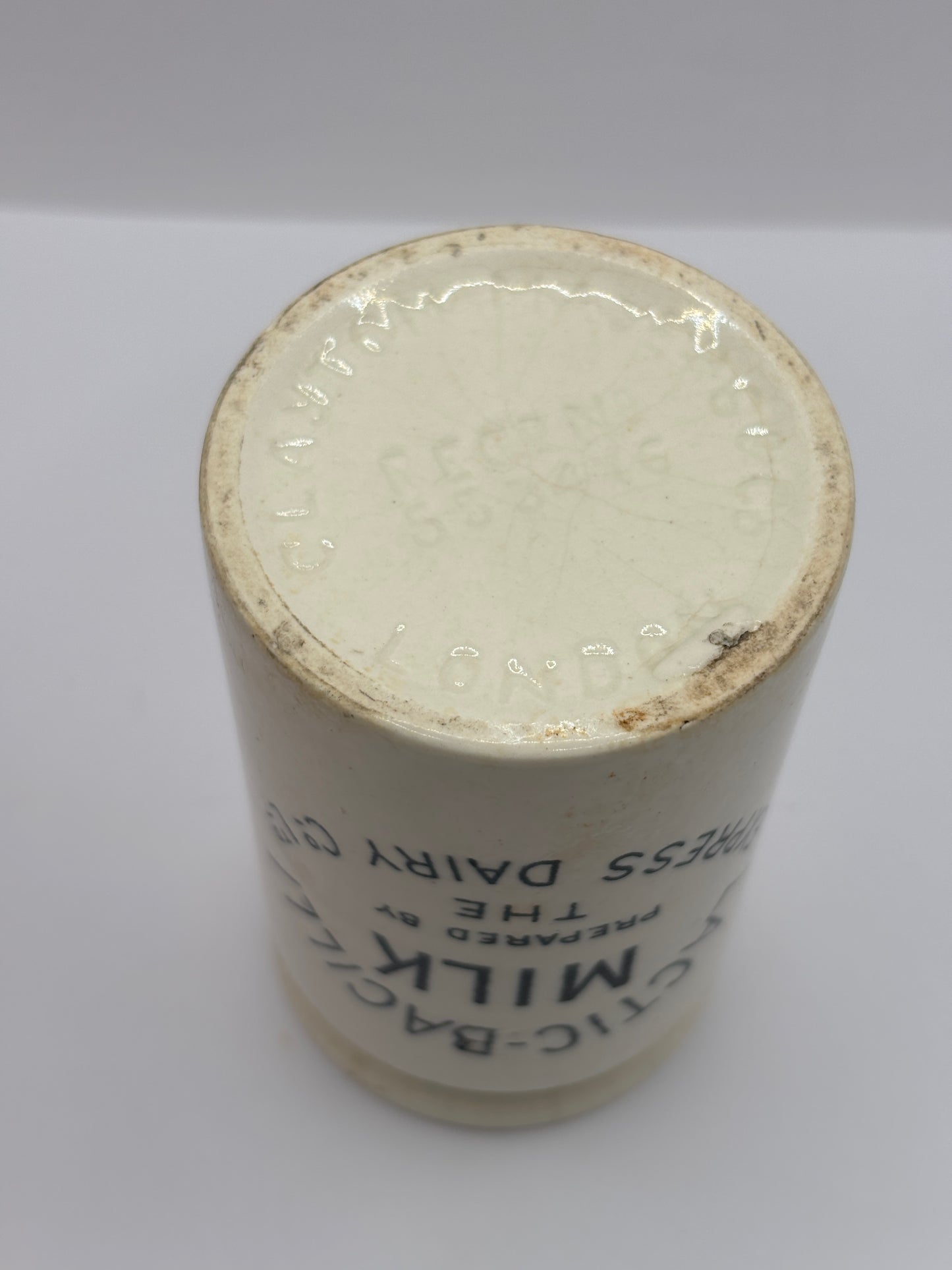Old RARE Lactic-Bacilli milk jar, express dairy Co.