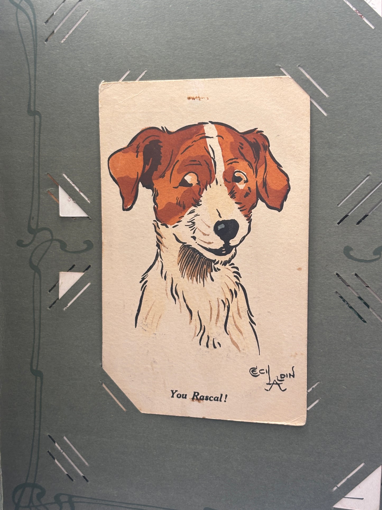Old postcard album, dogs & cats. 158 postcards